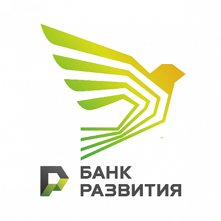 Бюджетное планирование и бюджетный контроль в ОАО «Банк развития Республики Беларусь»